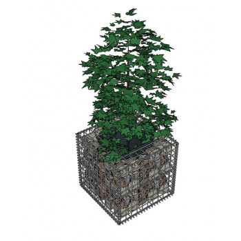 gabion-vegetal