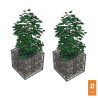 gabion-jardiniere-50-cm-plantes-jardin-bac-fleurs