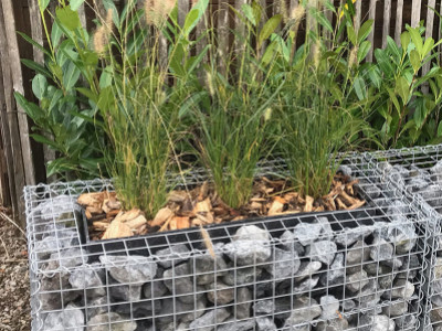 Jardinière en gabion : une idée moderne, naturelle pour aménager vos extérieurs